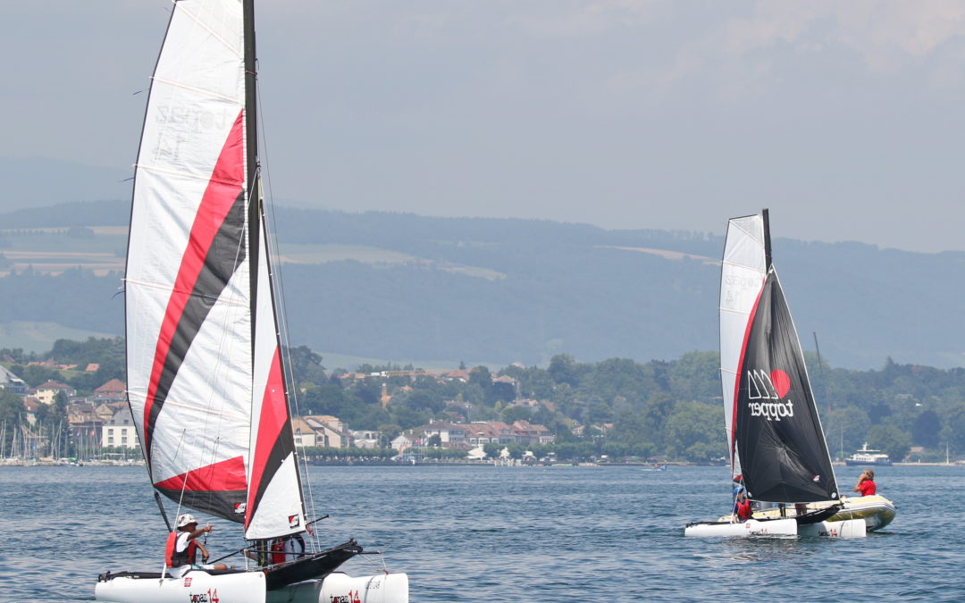 Topaz 14